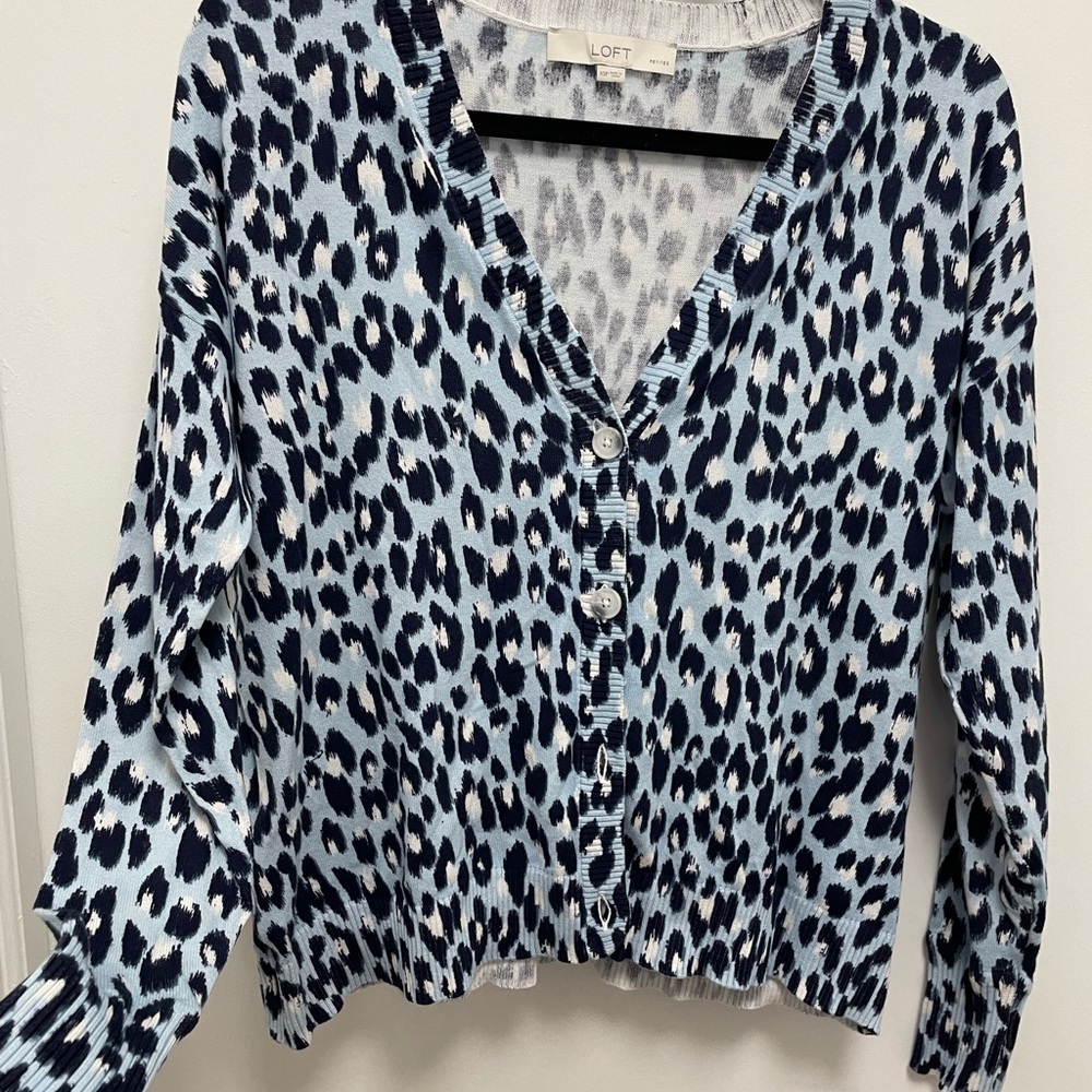 LOFT & ANN TAYLOR Sweaters